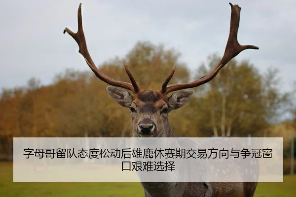 字母哥留队态度松动后雄鹿休赛期交易方向与争冠窗口艰难选择